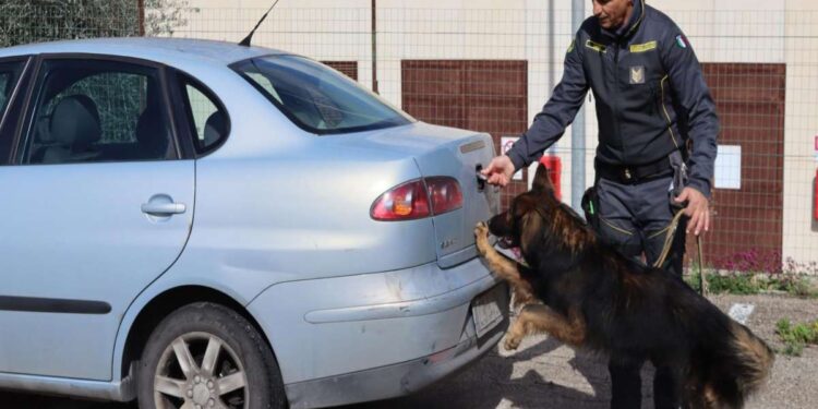 Sequestrate sostanze stupefacenti e segnalati 61 responsabili