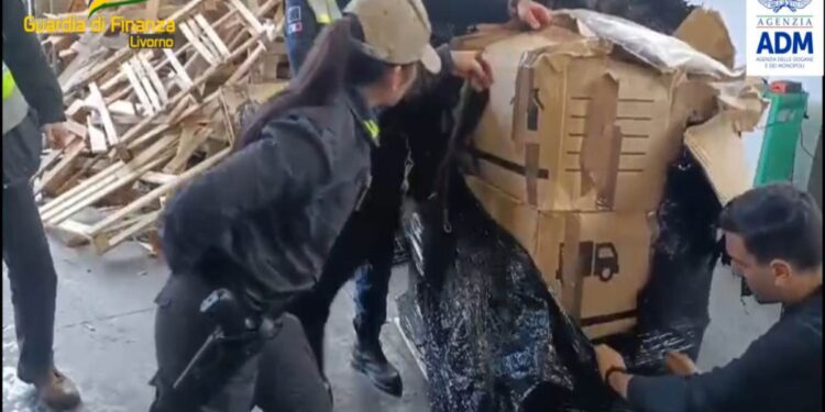 Sequestrati 130 chilogrammi di marijuana