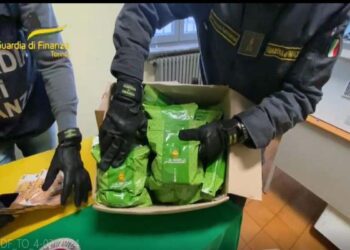 Sequestrati 228 chili di melassa da narghilè di contrabbando