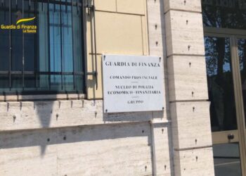 Indebita percezione del reddito di cittadinanza, riciclaggio e sostituzione di persona