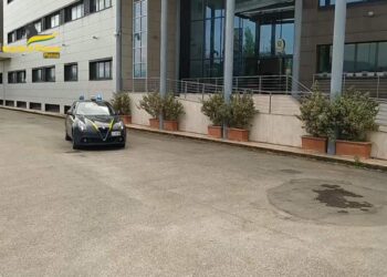 Pistoia – Sequestrati circa 2.700 semi, 1.700 piante e 1 quintale di marijuana