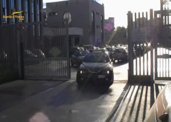 Sequestrati farmaci dopanti vietati e denunciato un soggetto per maltrattamento animali