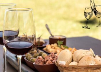 ENOTURISMO 4.0 NASCE IL CENTRO STUDI SUL TURISMO DEL VINO E DELL’OLIO ALL’UNIVERSITÀ LUMSA DI ROMA