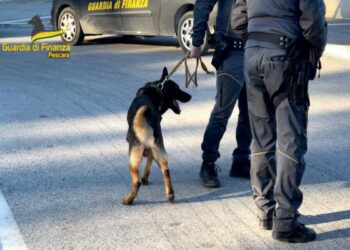 Pescara: Nasconde hashish in tasca e una pistola rubata nello scooter