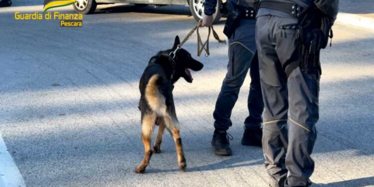 Pescara: Nasconde hashish in tasca e una pistola rubata nello scooter