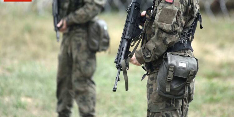 Ucraina, Polonia: “Kiev può usare le nostre armi per colpire la Russia”