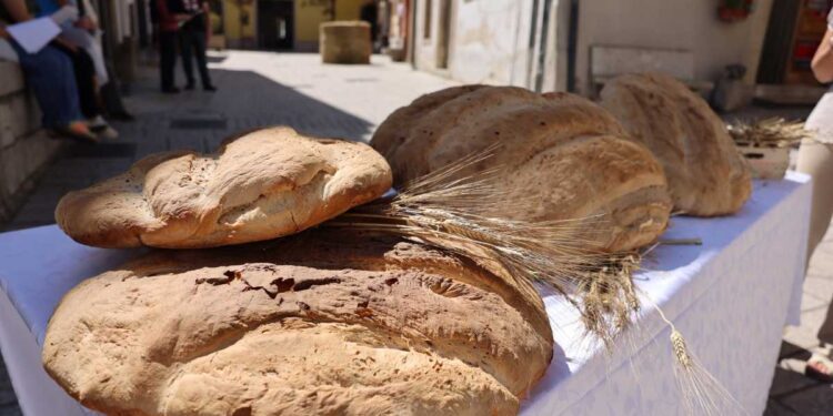 “PROFUMO DI PANE NEL BORGO”, L’EVENTO CHE HA ESALTATO BELLEZZE E TRADIZIONI DI SANT’ANDREA DI CONZA