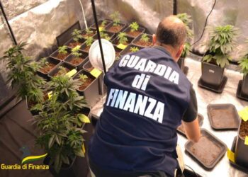 Pescara – Eseguiti tre blitz antidroga