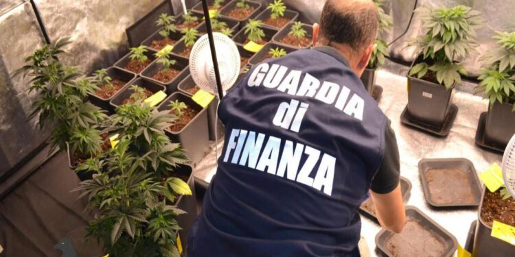 Pescara – Eseguiti tre blitz antidroga