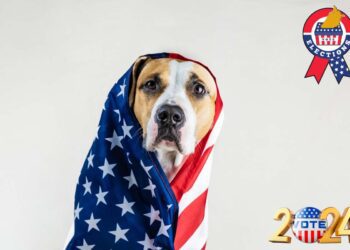 Biden potrebbe ritirarsi e candidare “Kamala Harris”