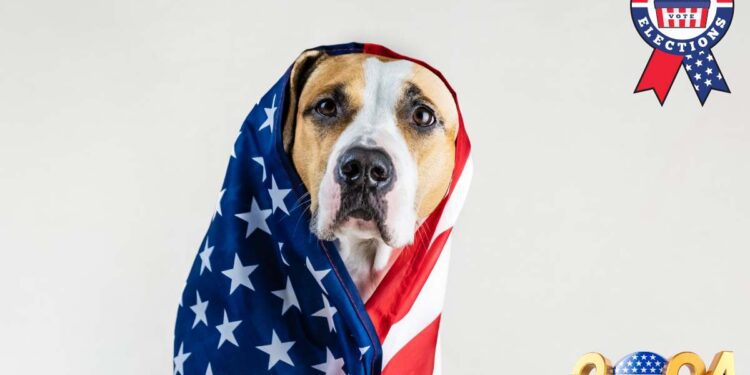 Biden potrebbe ritirarsi e candidare “Kamala Harris”