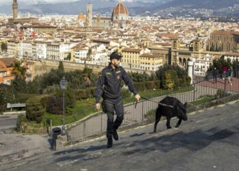 Firenze – Misure di contrasto al c.d. “gioco delle tre carte”