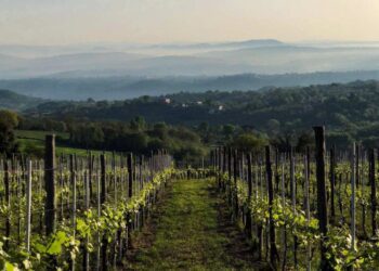 Il 2, 3 e 4 agosto va in scena Fiano Love Fest “In cosmica armonia” a Lapio