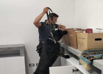 Lodi – Eseguito nei confronti di soggetti ed imprese operanti nel settore edile