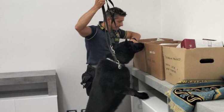 Lodi – Eseguito nei confronti di soggetti ed imprese operanti nel settore edile