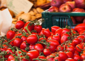 UN EDUCATIONAL TOUR DEDICATO AL POMODORO DI PACHINO IGP