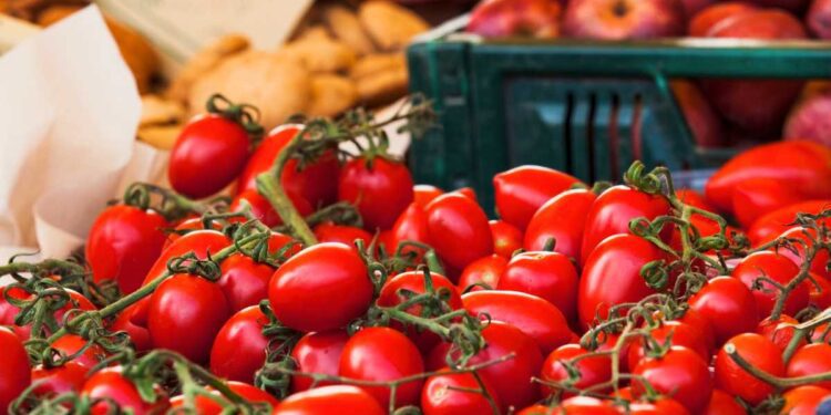 UN EDUCATIONAL TOUR DEDICATO AL POMODORO DI PACHINO IGP