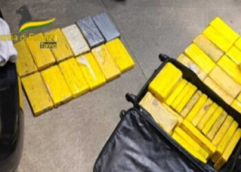 Torino – Individuato e sequestrato un carico di oltre 80 kg di cocaina