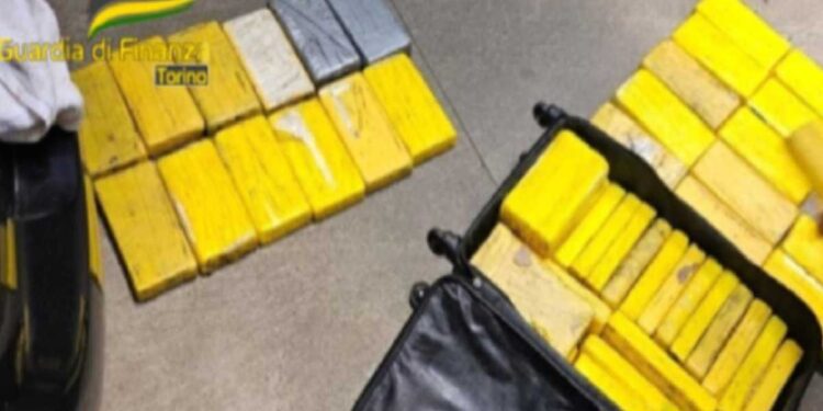 Torino – Individuato e sequestrato un carico di oltre 80 kg di cocaina