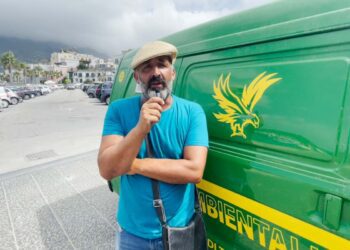 Ischia, tartaruga caretta caretta depone oltre cento uova sulla spiaggia di forio