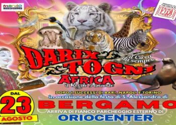 A Bergamo il prestigioso circo “Darix Togni”   presenta l’esclusivo show, “Africa, Il Regno Animale”
