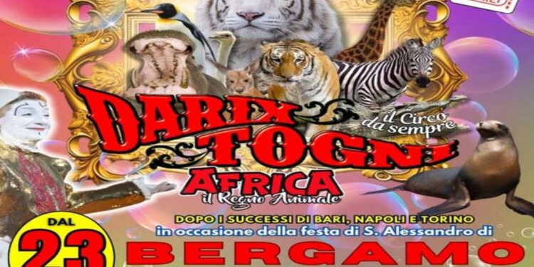 A Bergamo il prestigioso circo “Darix Togni”   presenta l’esclusivo show, “Africa, Il Regno Animale”