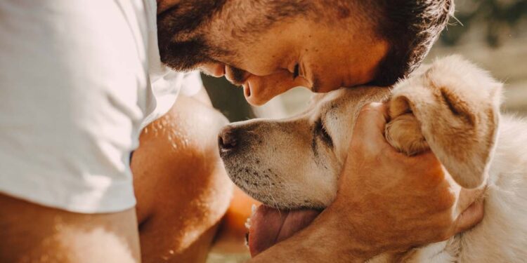 Oggi è la Giornata mondiale del cane, ecco perché è il 26 agosto