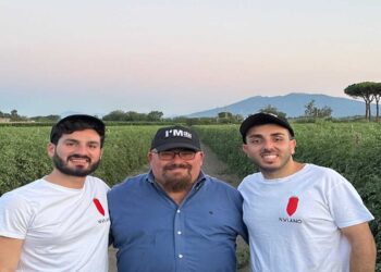 San Marzano Dop: ancora presto per parlare di rese, ma la qualità sarà altissima