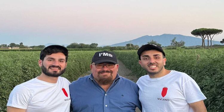 San Marzano Dop: ancora presto per parlare di rese, ma la qualità sarà altissima