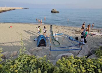 FORIO, NELLA NOTTE NATE 87 TARTARUGHINE CARETTA CARETTA