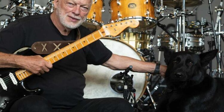 David Gilmour al Circo Massimo: strade chiuse e dove parcheggiare