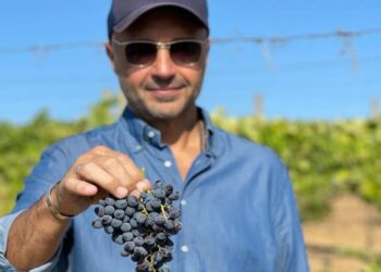 Joe Bastianich e Tony Gallo a Wine Next. Da lunedì vini, champagne, spirits