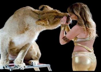 Como: lo show di successo del Circo Paolo Orfei, “Africa, Il Regno Animale”, in città dal 5 al 13 ottobre