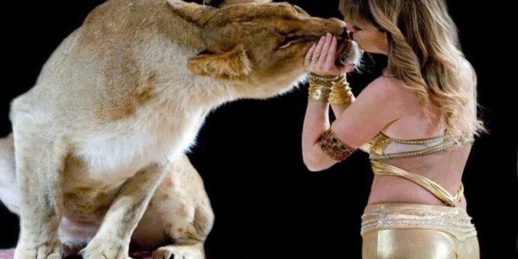 Como: lo show di successo del Circo Paolo Orfei, “Africa, Il Regno Animale”, in città dal 5 al 13 ottobre