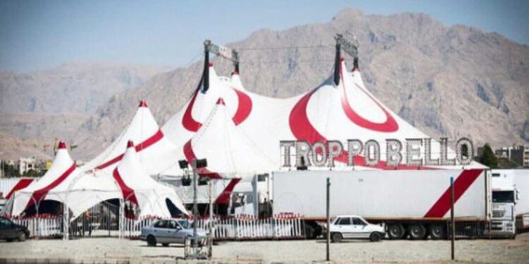 Lo show di successo del Circo Paolo Orfei, “Africa, Il Regno Animale”