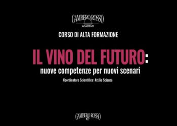 Il vino del futuro: Gambero Rosso Academy lancia l’alta formazione per i professionisti del settore