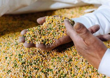 Siglata la partnership tra Select e Fondazione Umberto Veronesi ETS