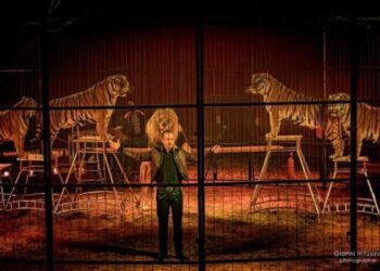 A Foggia l’Imperial Royal Circus, tra i più grandi d’Europa con un nuovissimo show edizione 2024