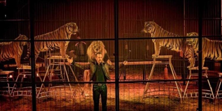 A Barletta il nuovissimo show delI’ Imperial Royal Circus, tra i più grandi d’Europa