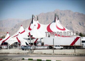 Lodi: lo show di successo del Circo Paolo Orfei, “Africa, Il Regno Animale”