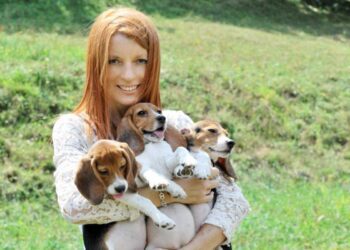 Gattina uccisa con un petardo a Trento: “Educare a scuola e pene più severe”