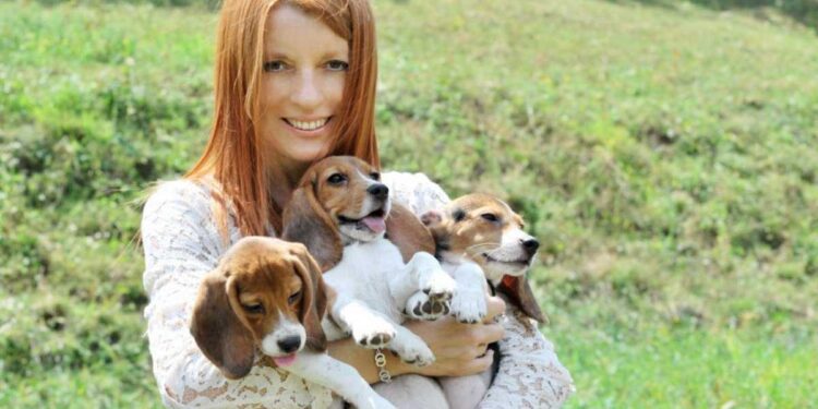 Gattina uccisa con un petardo a Trento: “Educare a scuola e pene più severe”