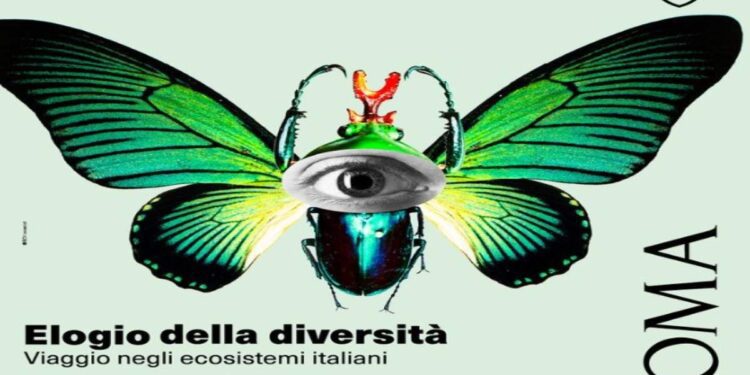 Apre oggi la mostra “Elogio della diversità. Viaggio negli ecosistemi italiani” | 27 novembre – 30 marzo, Palazzo Esposizioni di Roma
