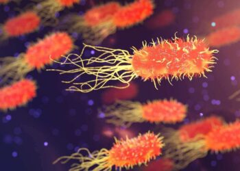 I superbatteri uccidono un milione di persone ogni anno