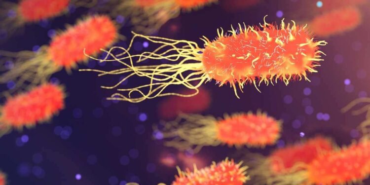 I superbatteri uccidono un milione di persone ogni anno