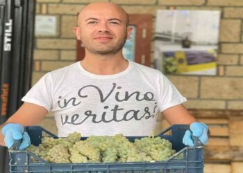 Una famiglia, un vino, una scommessa vinta: “Cantine Cennerazzo” a Casa Sanremo con Terre d’Irpinia