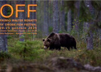 19° Festival internazionale del cinema di montagna 2025