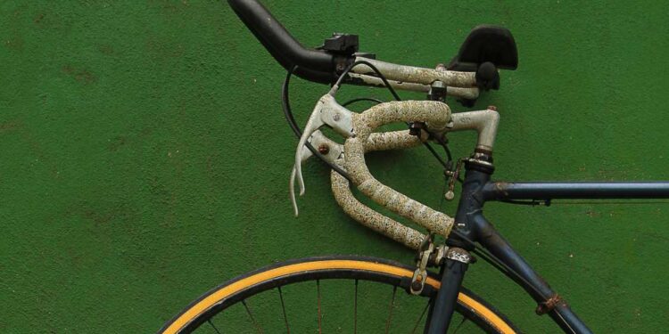 Il bob che viene dal freddo passato: aveva sci e manubrio