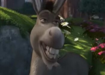 E’ morto Ciuchino (il vero asinello di Shrek)