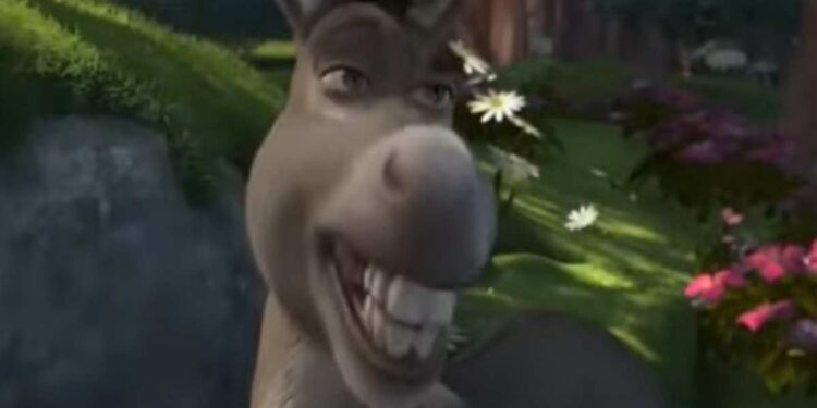 E’ morto Ciuchino (il vero asinello di Shrek)